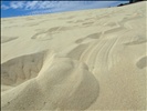 Moreton Island, The desert